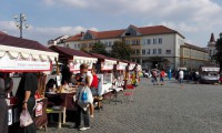 CTZ-podporuje-oblastni-charitu